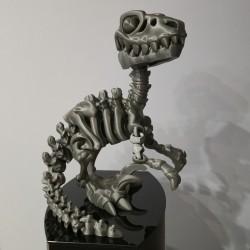Flexi Szkieletor Raptor XL – ruchomy dinozaur 3D | PrestigePrint3D