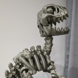 Flexi Szkieletor Raptor XL – ruchomy dinozaur 3D | PrestigePrint3D