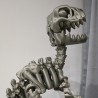 Flexi Szkieletor Raptor XL – ruchomy dinozaur 3D | PrestigePrint3D